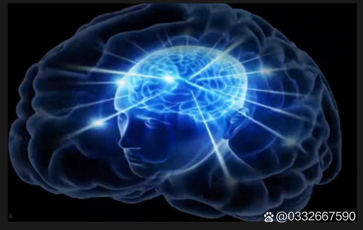 网红情侣餐厅大打出手,路人手机全程记录